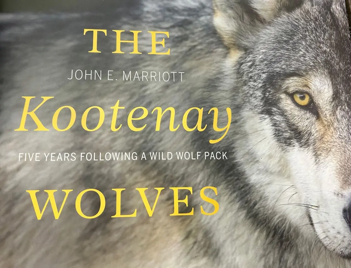 The Kootenay Wolves